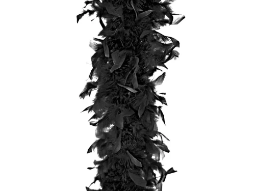 BOA-025.webp