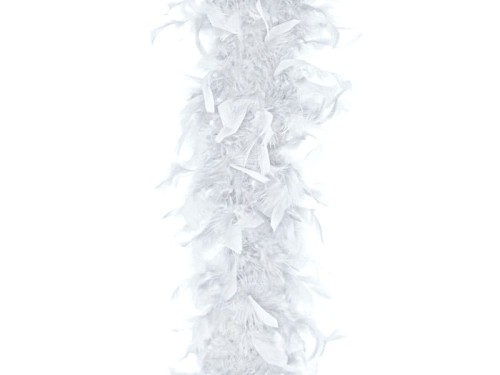 BOA-008.jpg