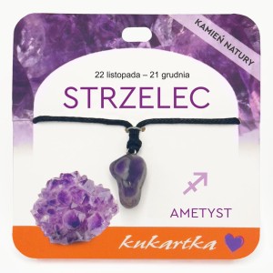 Naszyjnik NAS-039 Znak zodiaku (Strzelec, ametyst)